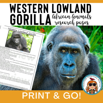 Preview of western lowland GORILLA African animals research pages informational article