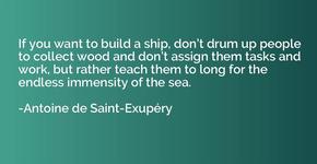 If you want to build a ship, don’t drum up people to collect wood and don’t assign them tasks and work, but rather teach them to long for the endless immensity of the sea. ~ Antoine de Saint-Exupery