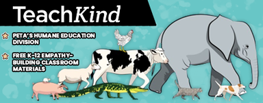 TeachKind helps educators promote compassion for animals through free lessons, classroom presentations, materials, advice, online resources, and more. Check out TeachKind’s resources and start building empathy for all beings now!