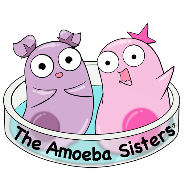 Amoeba sisters unlectured series 18 topic bundle. 