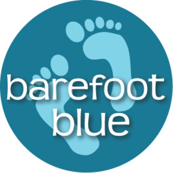 barefoot blue Teaching Resources | Teachers Pay Teachers