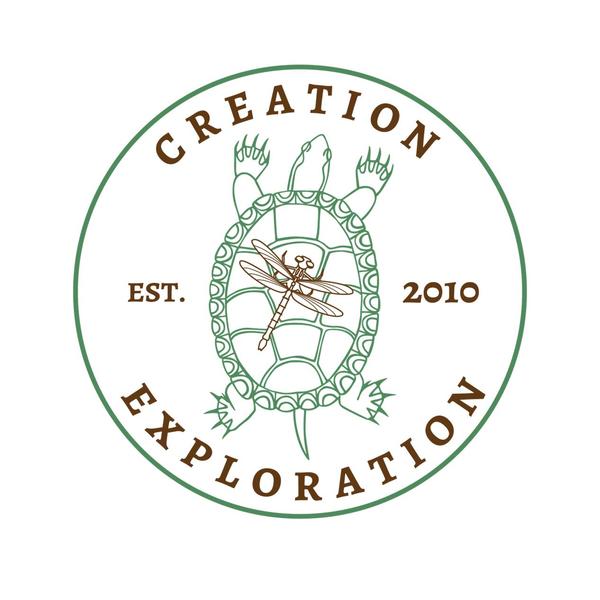 Creation Exploration Teaching Resources  Teachers Pay Teachers