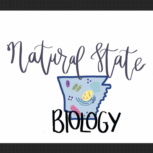 Natural State Biology Teaching Resources Teachers Pay Teachers