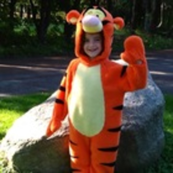 Pre-K Rocks Teaching Resources | Teachers Pay Teachers