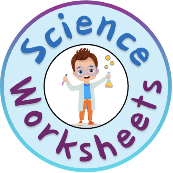 Science Worksheets Teaching Resources | Teachers Pay Teachers