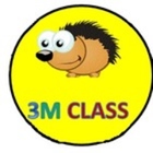 3M Class