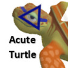 Acute Turtle