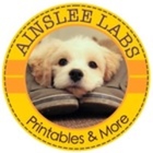 Ainslee Labs