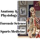 Anatomy Forensics Teacher