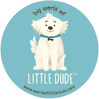 Big World of Little Dude