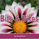 Bits and Bites