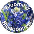 Blooming Bluebonnets