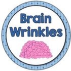 Brain Wrinkles