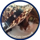 BrainyCats Learning