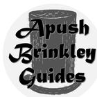 Brinkley Reading Guides