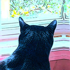 Cat in the Window