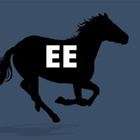 Equus Education