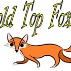 Gold Top Fox