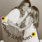 Growing SONflowers