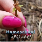 Homeschool Splendor