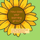 How Does Your Learning Grow