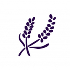 Lavender Learning Resources