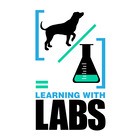 Learning with Labs