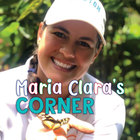 Maria Clara's Corner