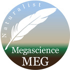 Megascience Meg