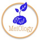 MeiOlogy