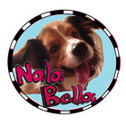 Nala Bella Teaching