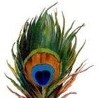 Peacock Projects