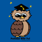 Professor Wise Owl