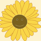 That Sunflower Teacher