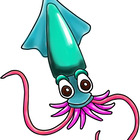 the little squid 