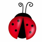The Logical Ladybug