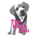 The Math Lab