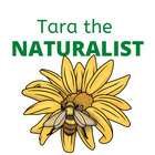 The Naturalist 