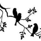 Three Birds and a Branch 